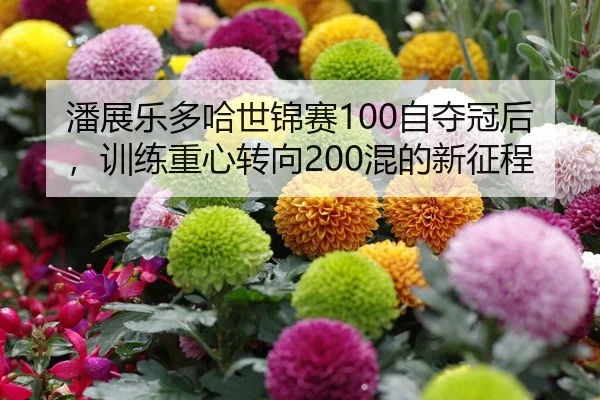 潘展乐多哈世锦赛100自夺冠后，训练重心转向200混的新征程
