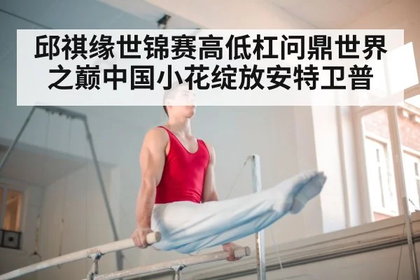 Chinese gymnast team