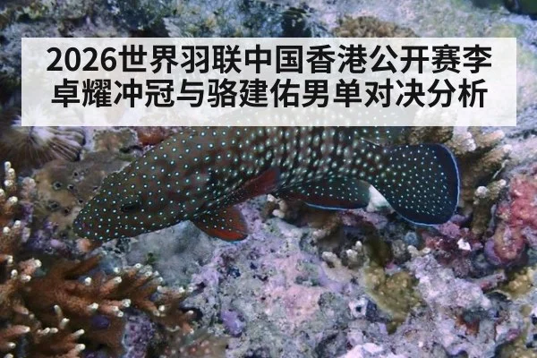 2026世界羽联中国香港公开赛李卓耀冲冠与骆建佑男单对决分析